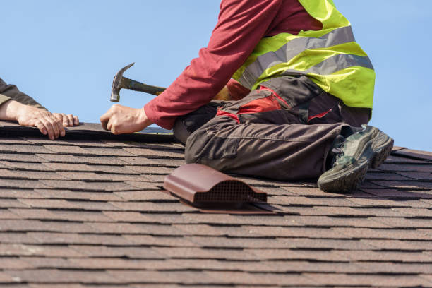 Best Roof Maintenance Services  in Sebewaing, MI