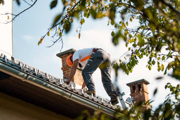 Best Roof Leak Repair  in Sebewaing, MI
