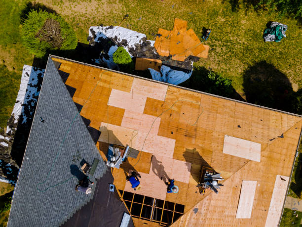 Best Roof Waterproofing Services  in Sebewaing, MI