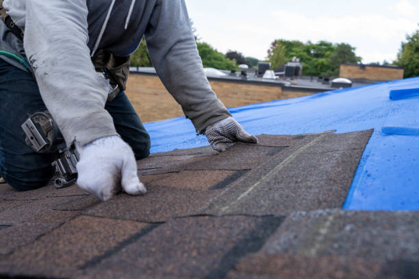 Best Best Roofing Contractors  in Sebewaing, MI