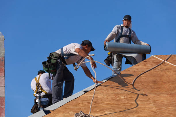 Best Storm Damage Roof Repair  in Sebewaing, MI