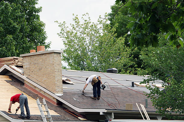 Best Roof Repair Services  in Sebewaing, MI