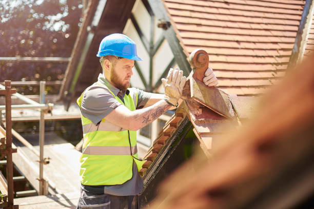 Best Metal Roofing Contractor  in Sebewaing, MI