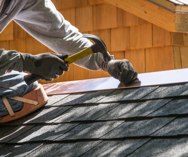 Best Roof Maintenance Services  in Sebewaing, MI